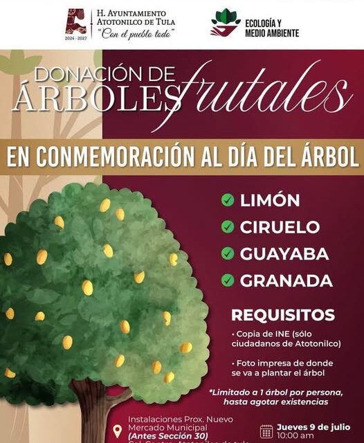Atotonilco de Tula donará 𝗮́𝗿𝗯𝗼𝗹𝗲𝘀 𝗳𝗿𝘂𝘁𝗮𝗹𝗲𝘀 en Conmemoración del 𝗗𝗶́𝗮 𝗱𝗲𝗹 𝗔́𝗿𝗯𝗼𝗹