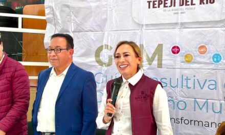Tepeji del Río participa la Revisión de la Guía Consultiva de Desempeño Municipal
