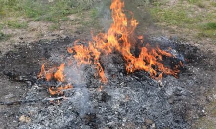 FGR LLEVÓ A CABO UN EVENTO DE INCINERACIÓN DE NARCÓTICOS Y DESTRUCCIÓN DE 366 OBJETOS DEL DELITO, EN HIDALGO
