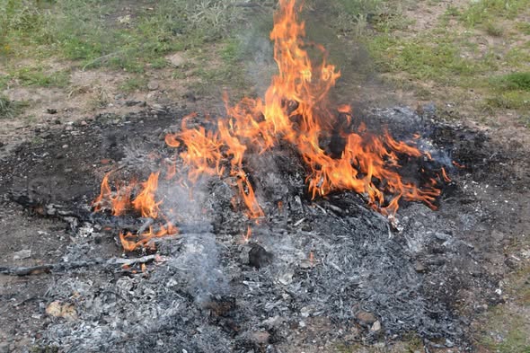 FGR LLEVÓ A CABO UN EVENTO DE INCINERACIÓN DE NARCÓTICOS Y DESTRUCCIÓN DE 366 OBJETOS DEL DELITO, EN HIDALGO