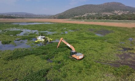 Gobierno de México respalda el Plan Maestro de Recuperación de la Presa Endhó con evidencia científica nacional e internacional
