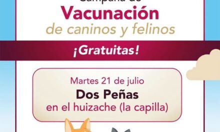 Realizarán campaña gratuita de esterilización canina y felina en Dos Peñas este 21 de julio
