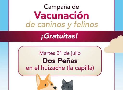 Realizarán campaña gratuita de esterilización canina y felina en Dos Peñas este 21 de julio