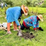 Reforestan la zona de Los Órganos en Macua con cerca de 200 ahuehuetes