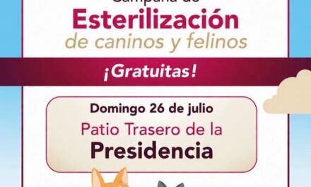 Realizarán campaña gratuita de esterilización canina y felina en Tepeji del Río