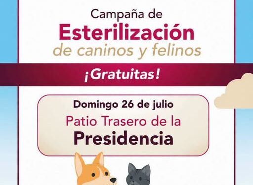 Realizarán campaña gratuita de esterilización canina y felina en Tepeji del Río