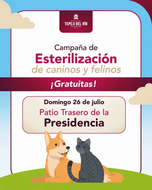 Realizarán campaña gratuita de esterilización canina y felina en Tepeji del Río