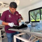 Realizan jornada gratuita de esterilización para perros y gatos en Dos Peñas, Tepeji del Río