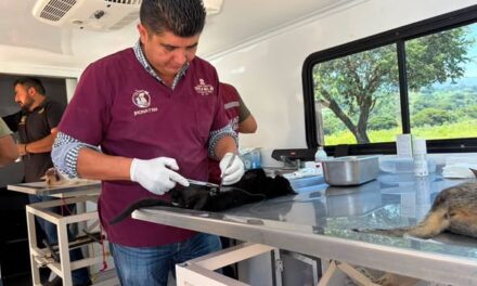 Realizan jornada gratuita de esterilización para perros y gatos en Dos Peñas, Tepeji del Río