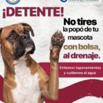 Comisión de Agua Tepeji exhorta a la ciudadanía a evitar tirar desechos de mascotas al drenaje