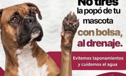 Comisión de Agua Tepeji exhorta a la ciudadanía a evitar tirar desechos de mascotas al drenaje