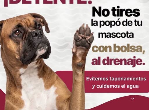 Comisión de Agua Tepeji exhorta a la ciudadanía a evitar tirar desechos de mascotas al drenaje