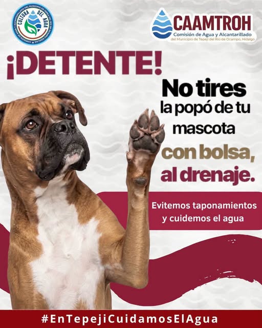 Comisión de Agua Tepeji exhorta a la ciudadanía a evitar tirar desechos de mascotas al drenaje