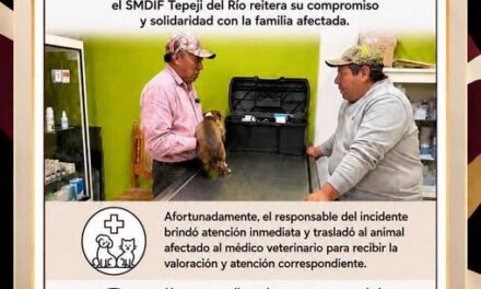 Comunicado DIF Tepeji del Río