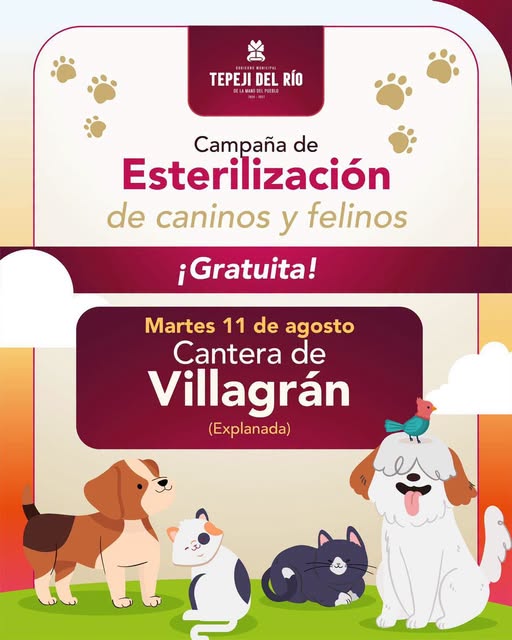 Habrá campaña de Esterilización Canina y Felina en la Explanada de la comunidad de Cantera de Villagrán