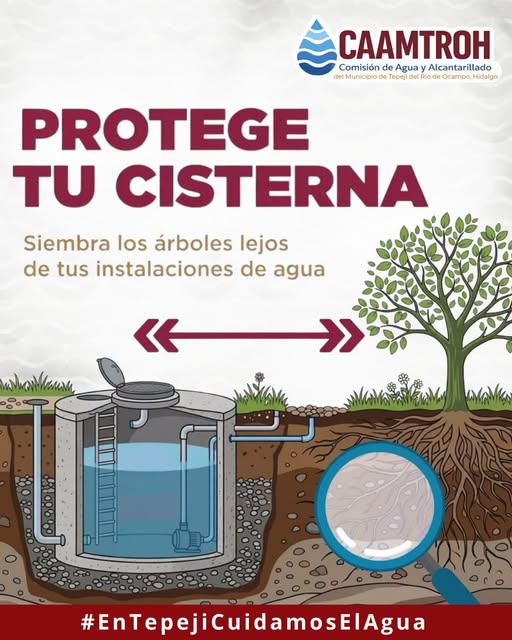 Árboles cercanos pueden dañar cisternas y tuberías, advierten autoridades