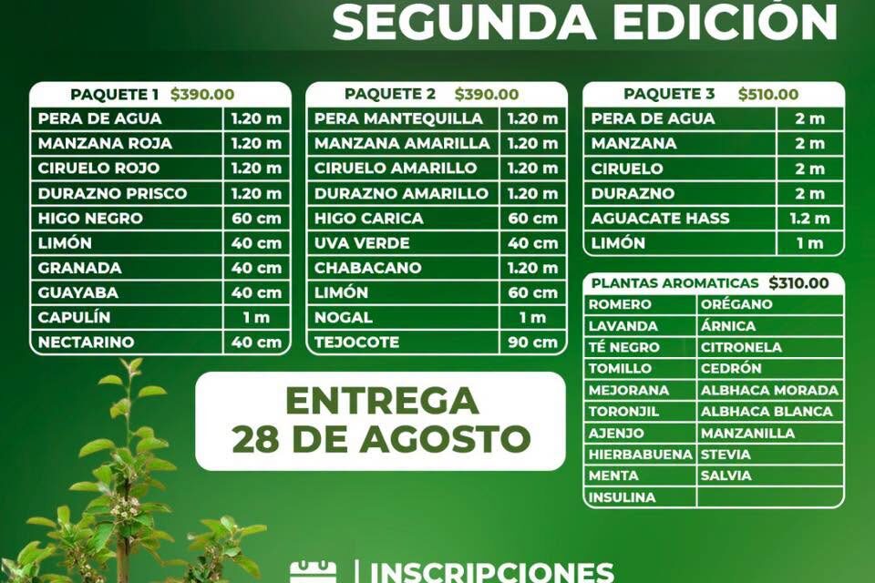 Mantiene abierta convocatoria para adquirir árboles frutales y plantas aromáticas en Tula de Allende