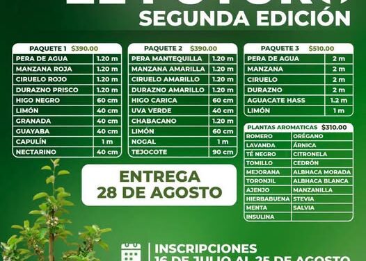 Gobierno de Tula de Allende impulsa programa de árboles frutales y plantas aromáticas a bajo costo
