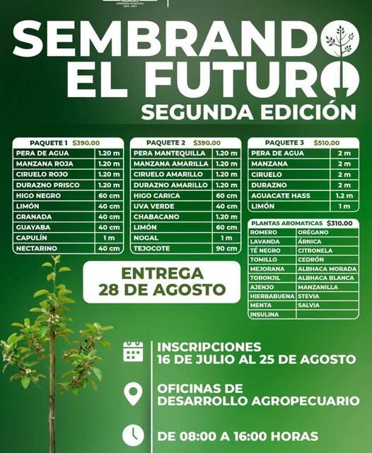 Gobierno de Tula de Allende impulsa programa de árboles frutales y plantas aromáticas a bajo costo