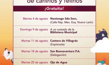 Gobierno de Tepeji anuncia calendario de campañas gratuitas de esterilización canina y felina para agosto