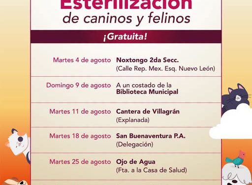 Gobierno de Tepeji anuncia calendario de campañas gratuitas de esterilización canina y felina para agosto