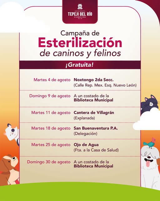 Gobierno de Tepeji anuncia calendario de campañas gratuitas de esterilización canina y felina para agosto
