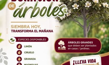 Recuerda que mañana habrá 𝘂𝗻𝗮 𝗷𝗼𝗿𝗻𝗮𝗱𝗮 𝗱𝗲 𝗱𝗼𝗻𝗮𝗰𝗶𝗼́𝗻 𝗱𝗲 𝗮́𝗿𝗯𝗼𝗹𝗲𝘀 𝗳𝗿𝘂𝘁𝗮𝗹𝗲𝘀 en Atotonilco de Tula