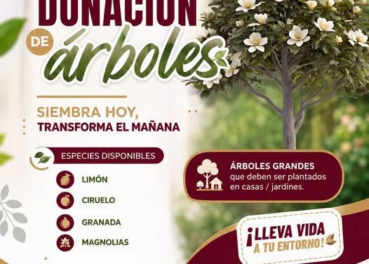 Recuerda que mañana habrá 𝘂𝗻𝗮 𝗷𝗼𝗿𝗻𝗮𝗱𝗮 𝗱𝗲 𝗱𝗼𝗻𝗮𝗰𝗶𝗼́𝗻 𝗱𝗲 𝗮́𝗿𝗯𝗼𝗹𝗲𝘀 𝗳𝗿𝘂𝘁𝗮𝗹𝗲𝘀 en Atotonilco de Tula