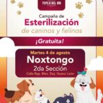 Mañana habrá Campaña GRATUITA de Esterilización Canina y Felina en la Colonia Noxtongo 2da. Sección