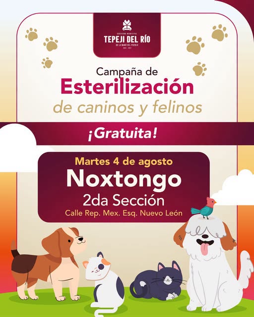 Mañana habrá Campaña GRATUITA de Esterilización Canina y Felina en la Colonia Noxtongo 2da. Sección