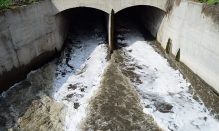 Mala calidad del agua persiste en la cuenca del río Tula; 31 de 34 sitios presentan contaminación