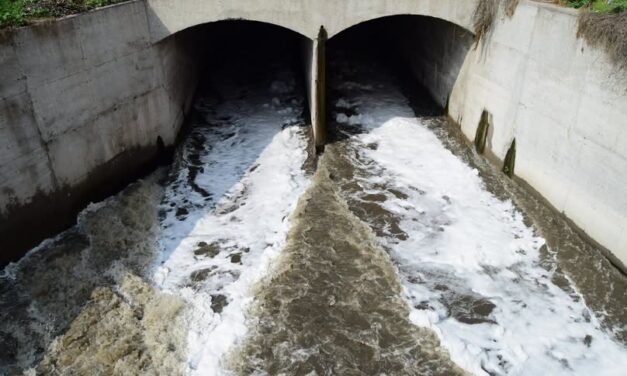 Mala calidad del agua persiste en la cuenca del río Tula; 31 de 34 sitios presentan contaminación