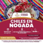 Aprende a preparar unos deliciosos chiles en nogada