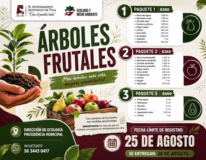 𝗥𝗲𝗴𝗿𝗲𝘀𝗮 𝗹𝗮 𝗰𝗼𝗻𝘃𝗼𝗰𝗮𝘁𝗼𝗿𝗶𝗮 𝗽𝗮𝗿𝗮 𝗮𝗱𝗾𝘂𝗶𝗿𝗶𝗿 𝗽𝗮𝗾𝘂𝗲𝘁𝗲𝘀 𝗱𝗲 𝗮́𝗿𝗯𝗼𝗹𝗲𝘀 𝗳𝗿𝘂𝘁𝗮𝗹𝗲𝘀 a Atotonilco de Tula