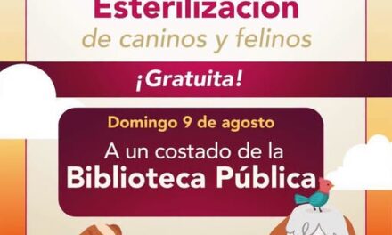 Habrá campaña de Esterilización Canina y Felina en el centro de Tepeji del Río