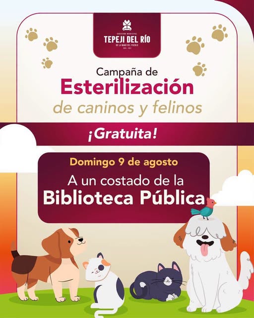 Habrá campaña de Esterilización Canina y Felina en el centro de Tepeji del Río