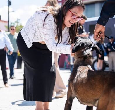 Atotonilco de Tula incorpora a Aika, su primer agente canino de Seguridad Pública