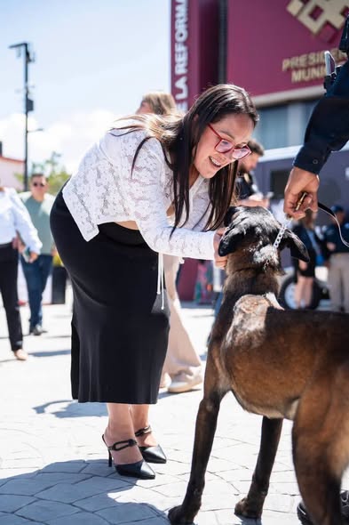 Atotonilco de Tula incorpora a Aika, su primer agente canino de Seguridad Pública