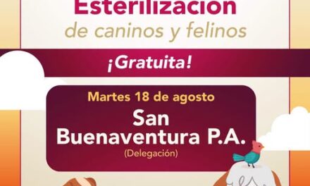 Habrá campaña de esterilización canina y felina gratuita en San Buenaventura Parte Alta
