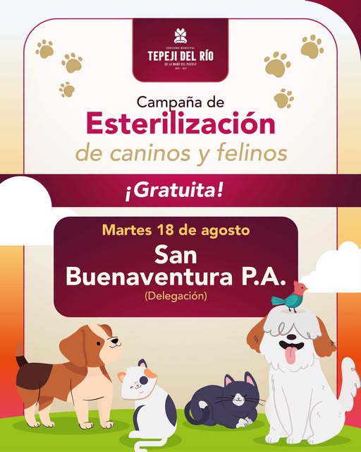 Habrá campaña de esterilización canina y felina gratuita en San Buenaventura Parte Alta