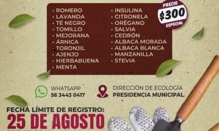 Aún puedes solicitar tu 𝗽𝗮𝗾𝘂𝗲𝘁𝗲 𝗱𝗲 𝗣𝗹𝗮𝗻𝘁𝗮𝘀 𝗔𝗿𝗼𝗺𝗮́𝘁𝗶𝗰𝗮𝘀 𝘆 𝗠𝗲𝗱𝗶𝗰𝗶𝗻𝗮𝗹𝗲𝘀 a bajo costo en Atotonilco de Tula