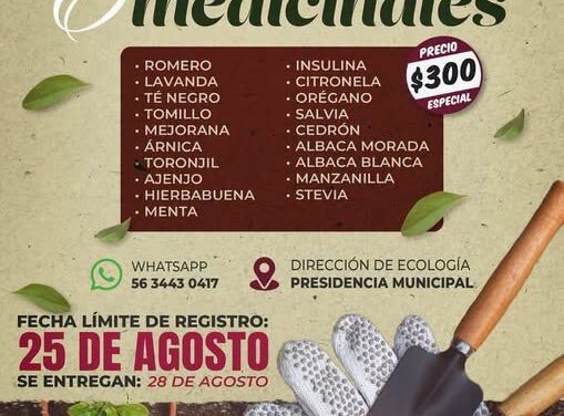 Aún puedes solicitar tu 𝗽𝗮𝗾𝘂𝗲𝘁𝗲 𝗱𝗲 𝗣𝗹𝗮𝗻𝘁𝗮𝘀 𝗔𝗿𝗼𝗺𝗮́𝘁𝗶𝗰𝗮𝘀 𝘆 𝗠𝗲𝗱𝗶𝗰𝗶𝗻𝗮𝗹𝗲𝘀 a bajo costo en Atotonilco de Tula