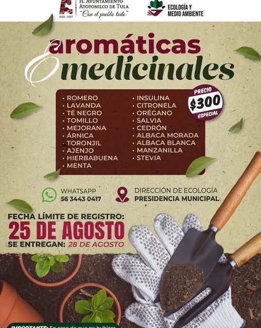 Aún puedes solicitar tu 𝗽𝗮𝗾𝘂𝗲𝘁𝗲 𝗱𝗲 𝗣𝗹𝗮𝗻𝘁𝗮𝘀 𝗔𝗿𝗼𝗺𝗮́𝘁𝗶𝗰𝗮𝘀 𝘆 𝗠𝗲𝗱𝗶𝗰𝗶𝗻𝗮𝗹𝗲𝘀 a bajo costo en Atotonilco de Tula