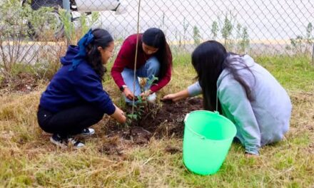Jornada de reforestación promueve la participación de niñas, niños y adolescentes en San Ildefonso