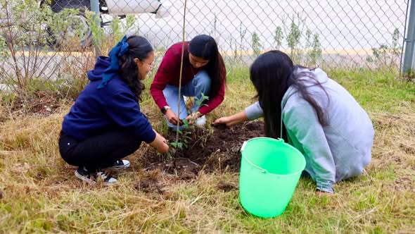 Jornada de reforestación promueve la participación de niñas, niños y adolescentes en San Ildefonso