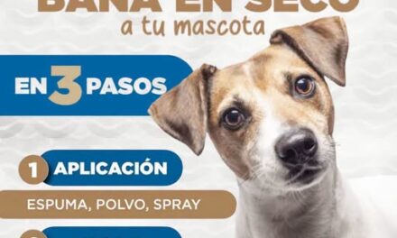 Recomiendan baño en seco para mascotas para ahorrar agua en Tepeji del Río