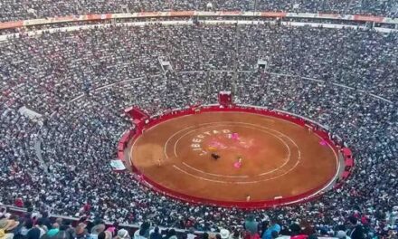Activistas buscan suspender corrida de toros en Doxey mediante amparo