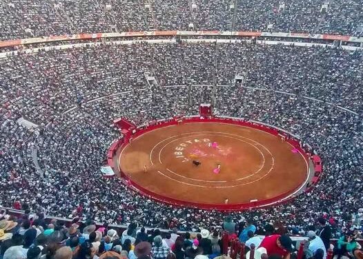 Activistas buscan suspender corrida de toros en Doxey mediante amparo