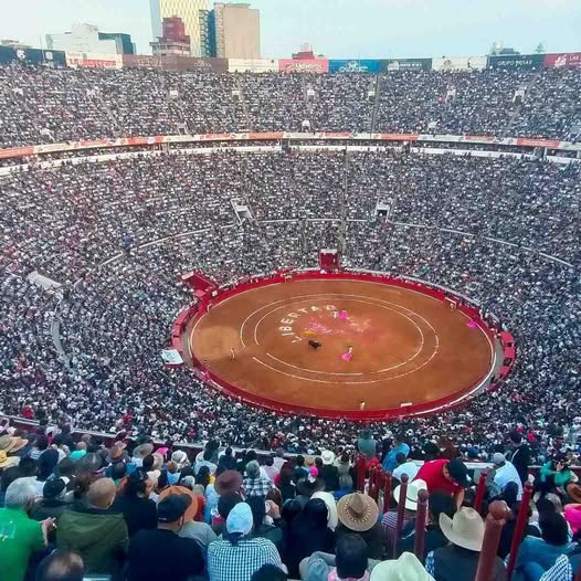 Activistas buscan suspender corrida de toros en Doxey mediante amparo