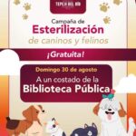 Realizarán jornada gratuita de esterilización para perros y gatos en Tepeji del Río